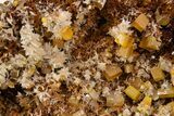 Orange Wulfenite & Calcite on Matrix - Mexico #372094-1